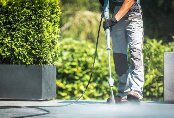 Best Animal Enclosure Cleaning  in Madisonville, TN